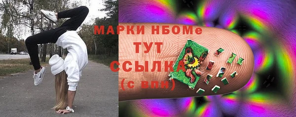 2c-b Надым