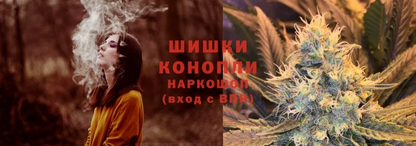 крисы Наволоки