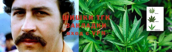2c-b Надым